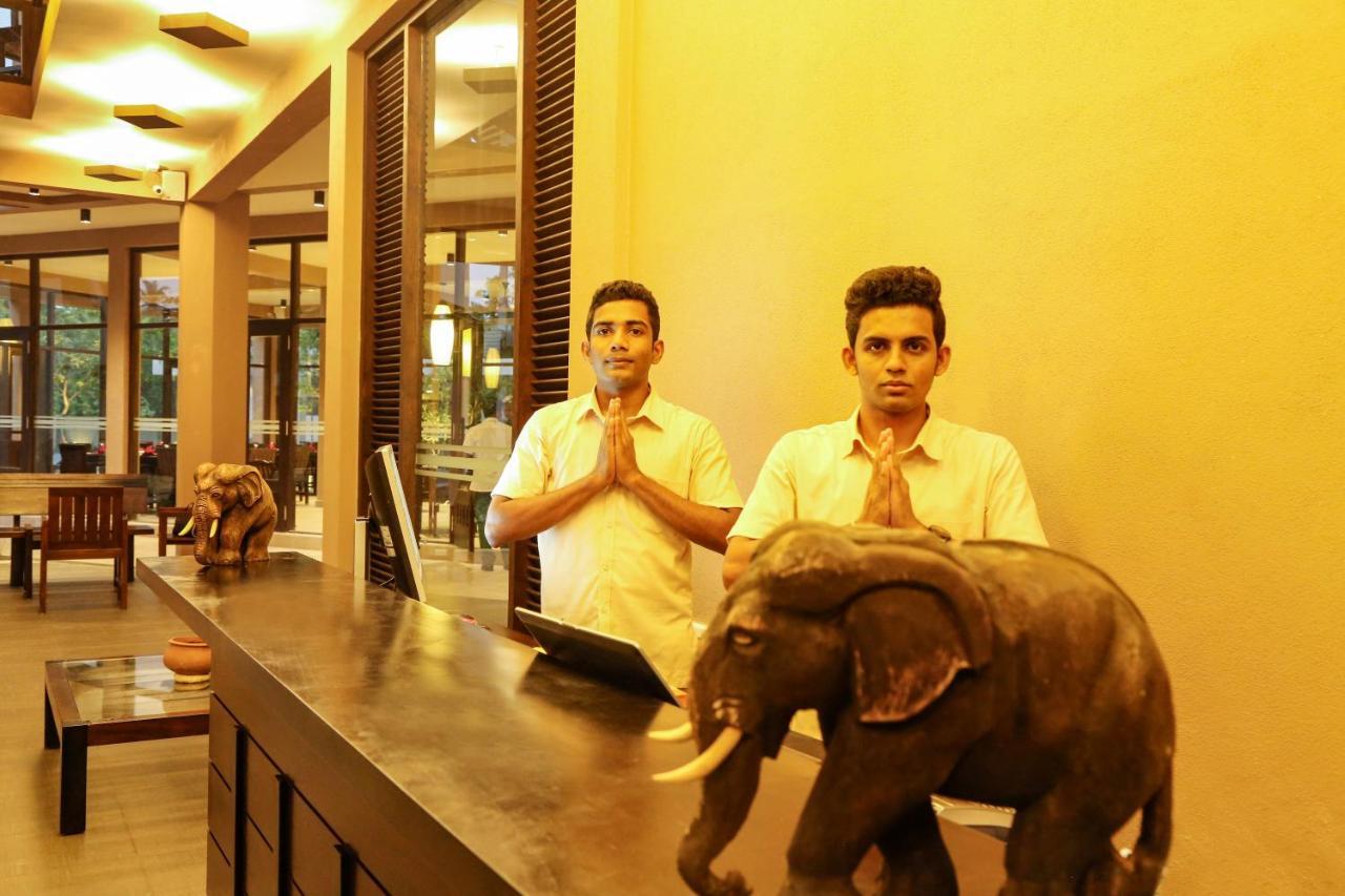 Oak Ray Wild Yala Hotell Tissamaharama Exteriör bild