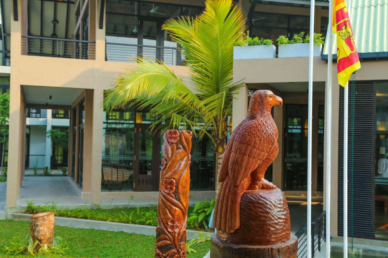 Oak Ray Wild Yala Hotell Tissamaharama Exteriör bild